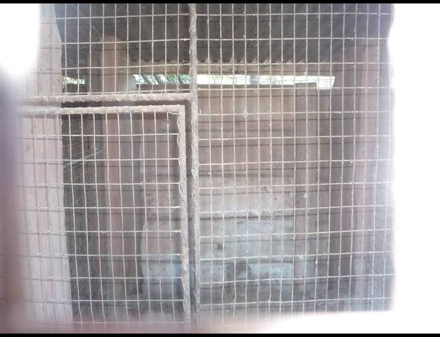 8.80HA FARM FOR SALE IN KRUISRIVIER